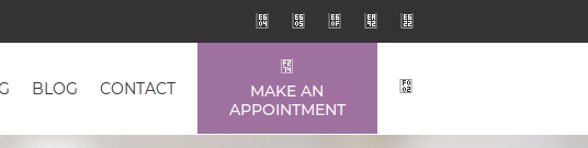 WordPress Avada theme icon missing