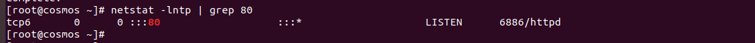 CentOS 8 apache netstat
