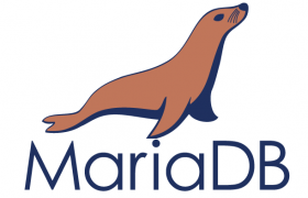 Ubuntu 18.04 MariaDB 10.2 Too many open files