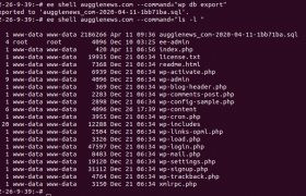 EasyEngine backup WordPress Database
