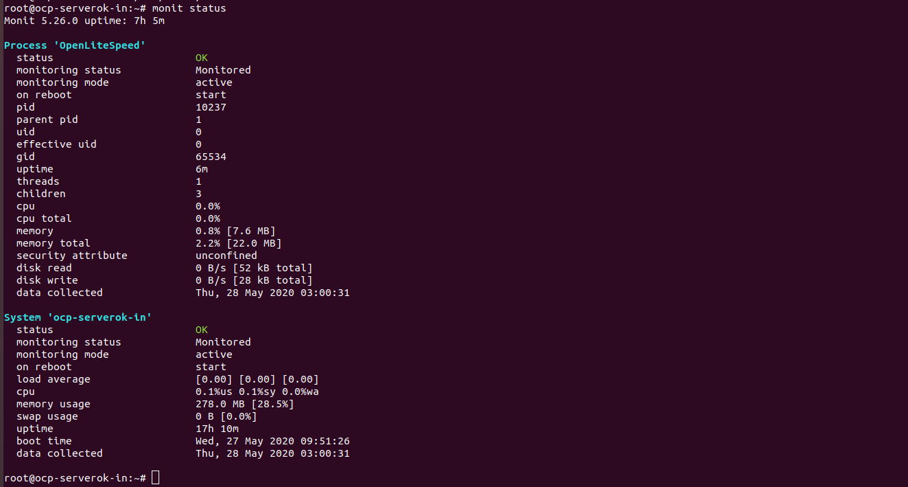 monit status openlitespeed