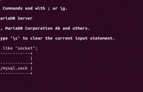 MySQL cannot connect via localhost