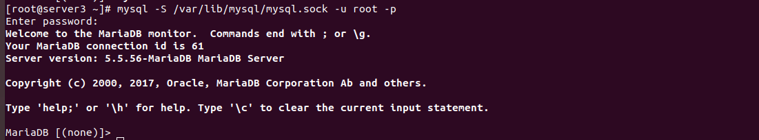 login to mysql using socket