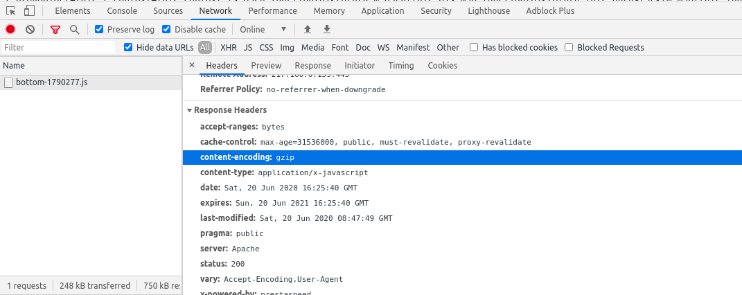 verify gzip in chrome developer tools