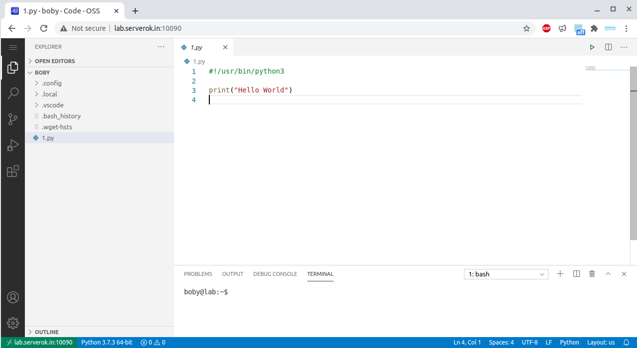 Visual Studio Code Server