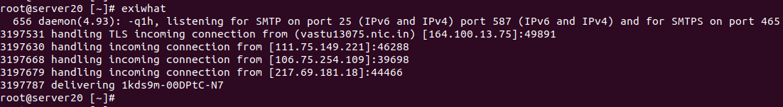 exim mail server exiwhat