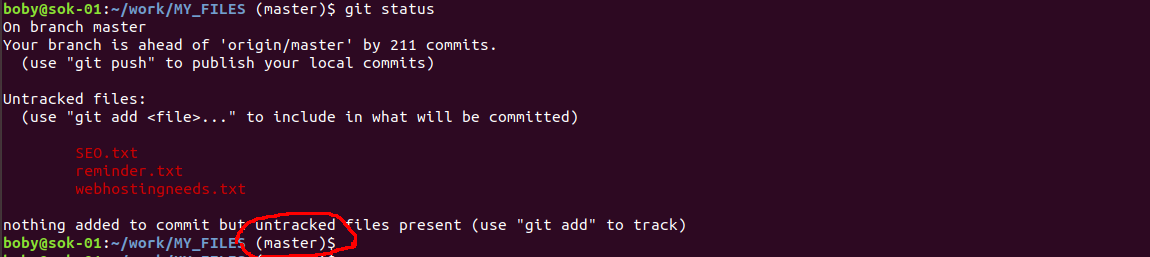 show git branch in terminal