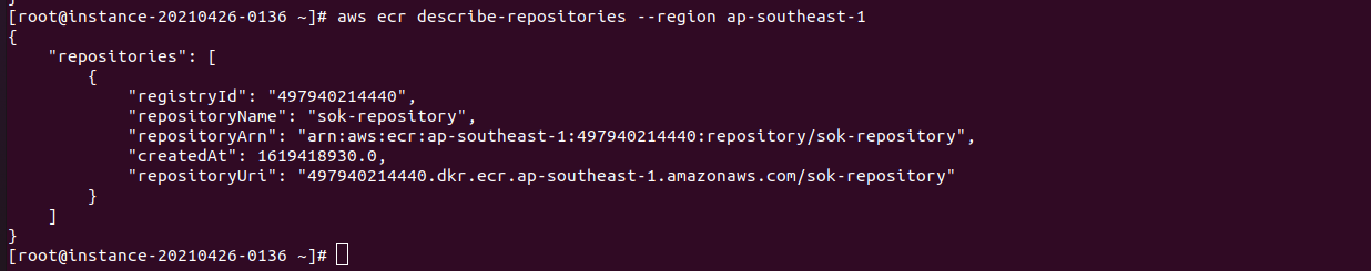 Amazon AWS ECR awscli