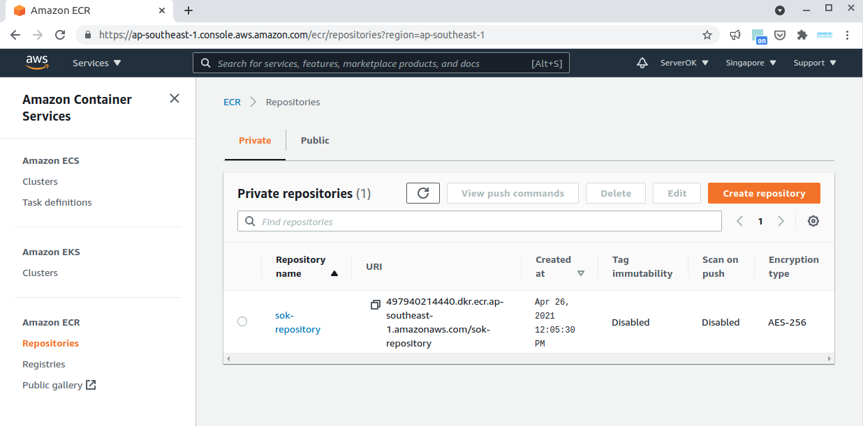 amazon docker registry (ECR)