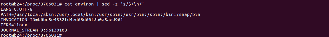 linux procs environ display with sed