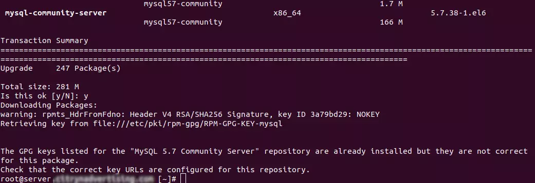 mysql gpg key error yum